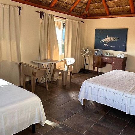 Bungalows Las Palmas Cabo Pulmo Εξωτερικό φωτογραφία
